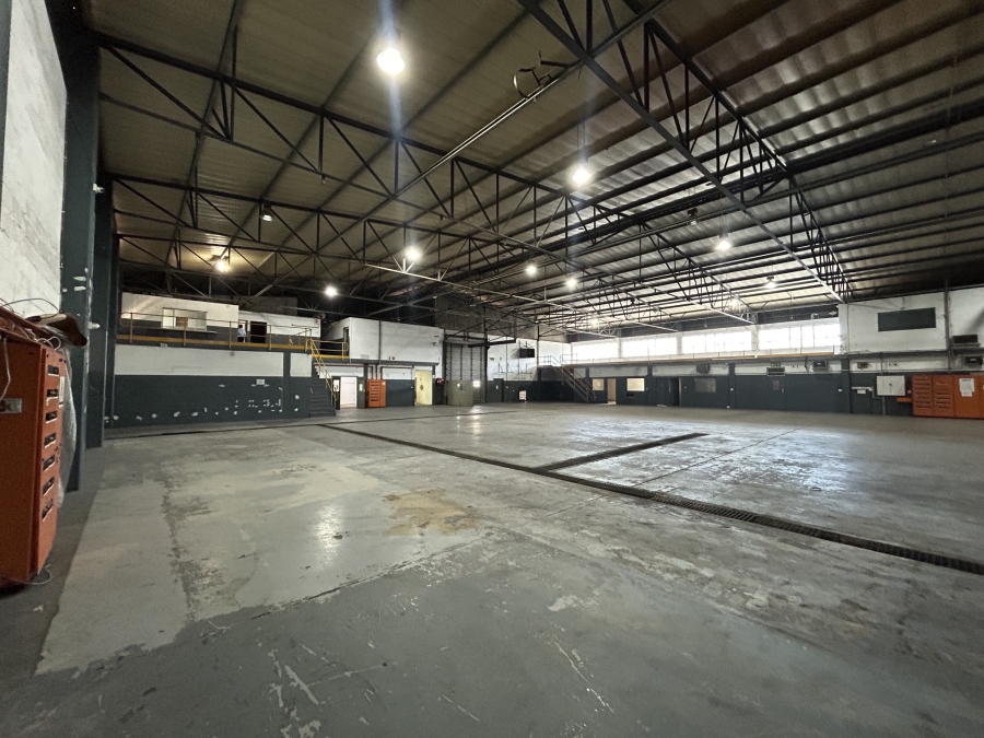 To Let commercial Property for Rent in Epping Industrial Western Cape